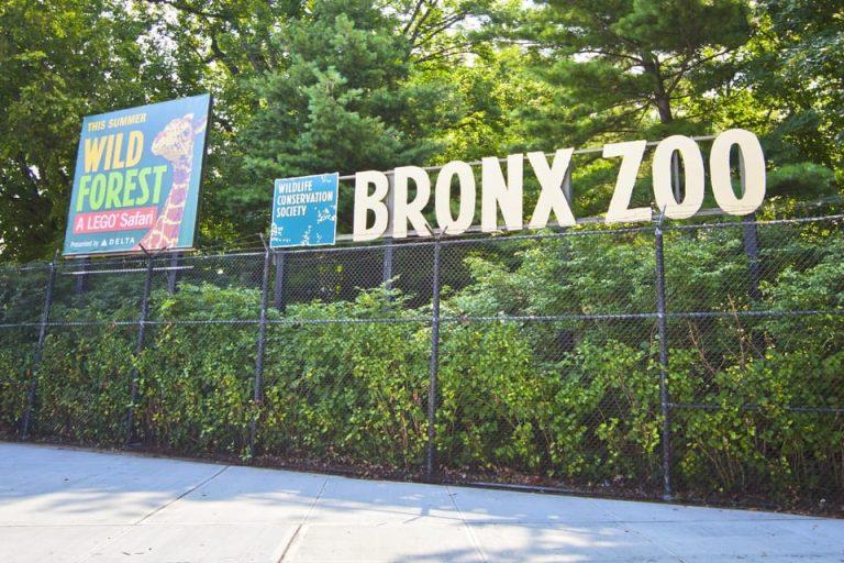 Bronx Zoo