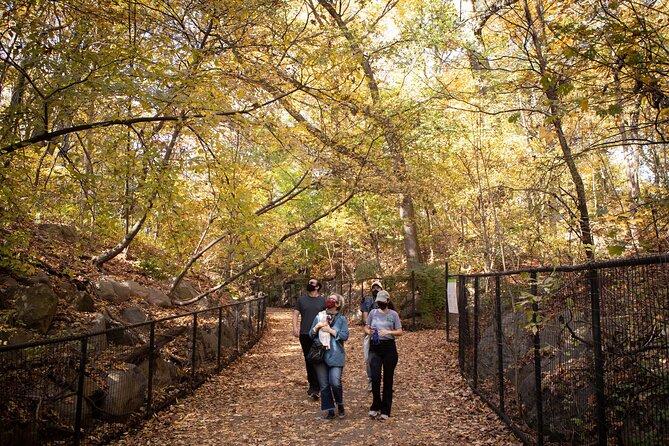 Prospect Park Tour