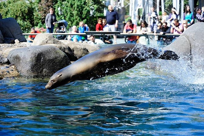 גן החיות של הסנטרל פארק (Central Park Zoo) בניו יורק