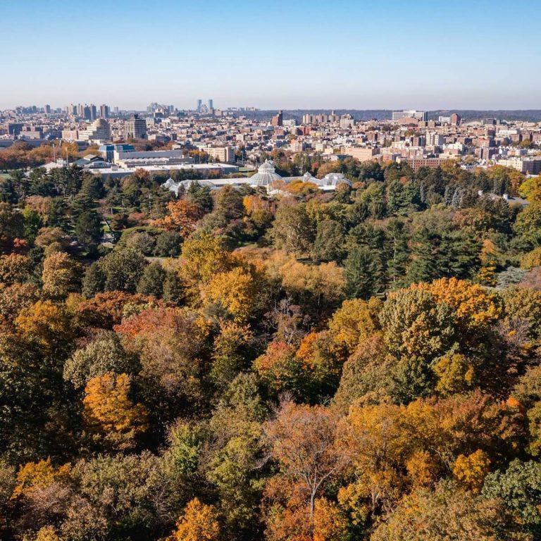 New York Botanical Garden