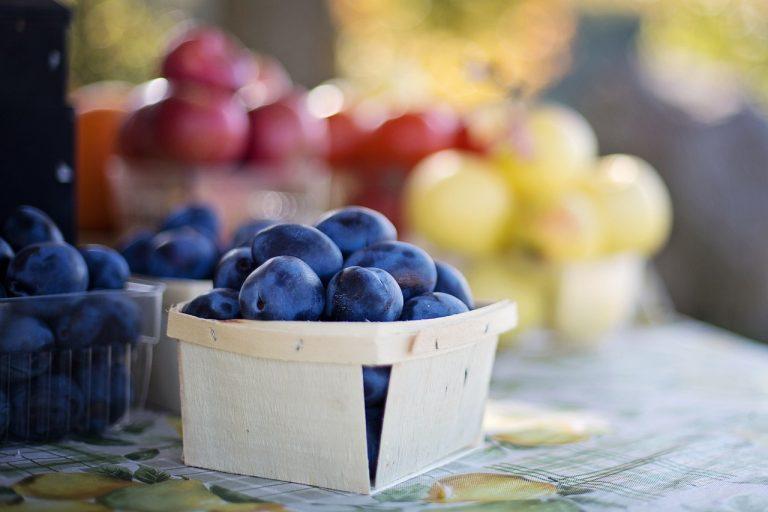 Greenmarket new york