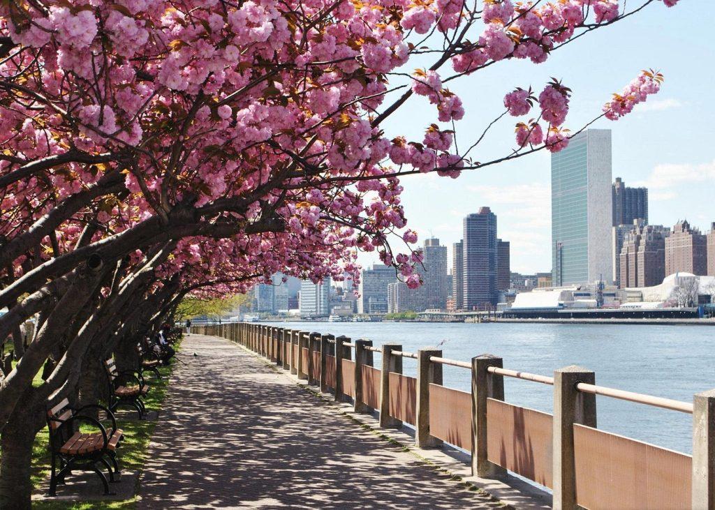 Roosevelt Island Tramway