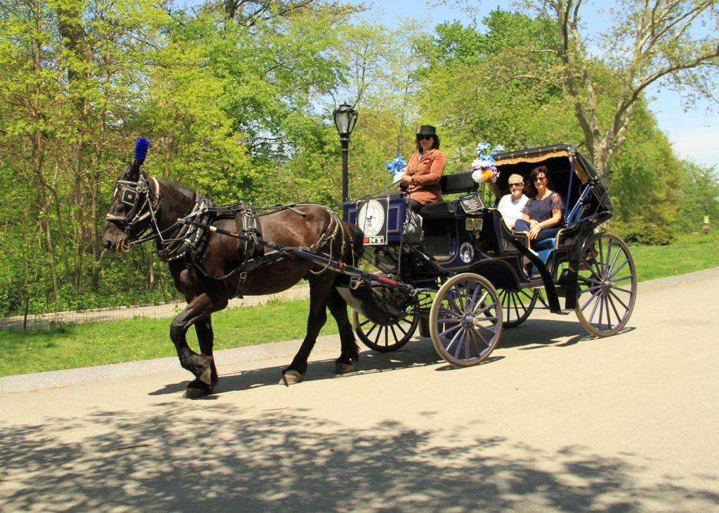 Bethesda Fountain